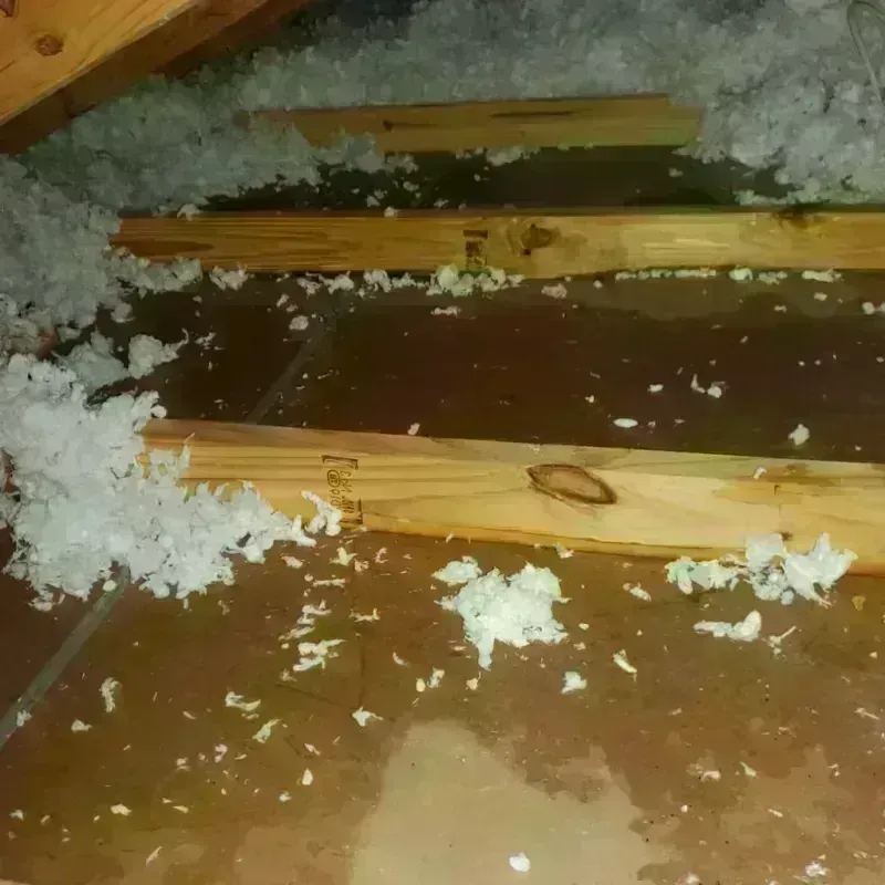 Attic Water Damage in Jasper County, MS