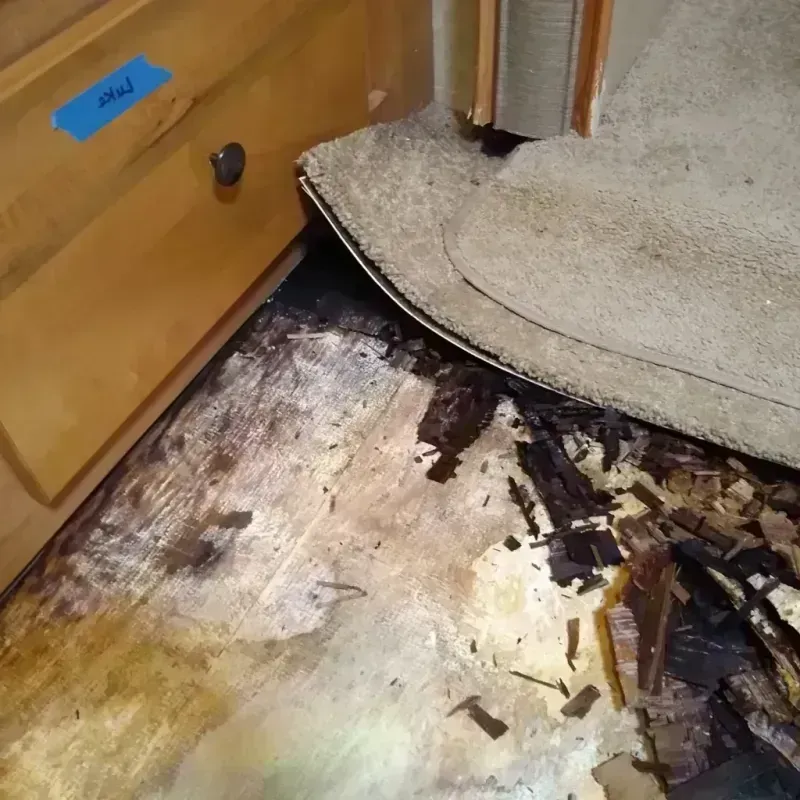 Wood Floor Water Damage in Jasper County, MS